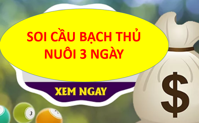 Cách soi cầu bạch thủ nuôi 3 ngày hiệu quả nhất